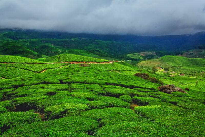 Munnar