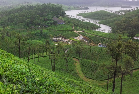 Valparai