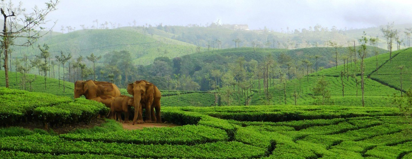 Meghamalai