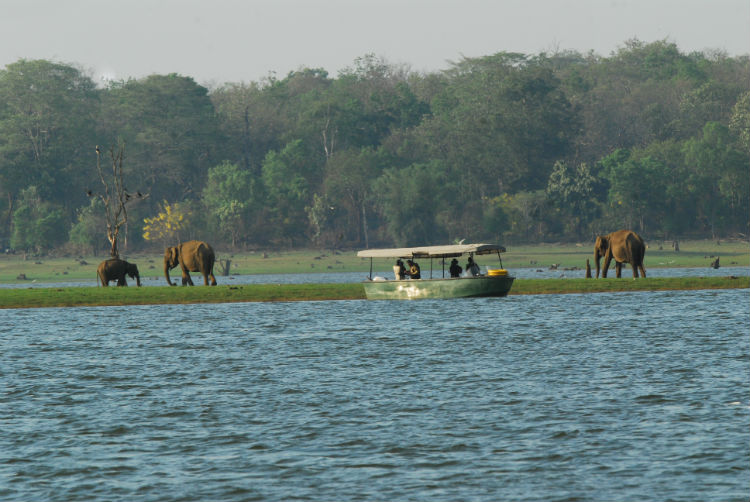 Kabani