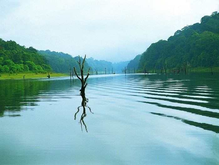 Thekkady