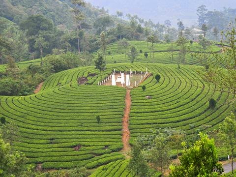 Valparai