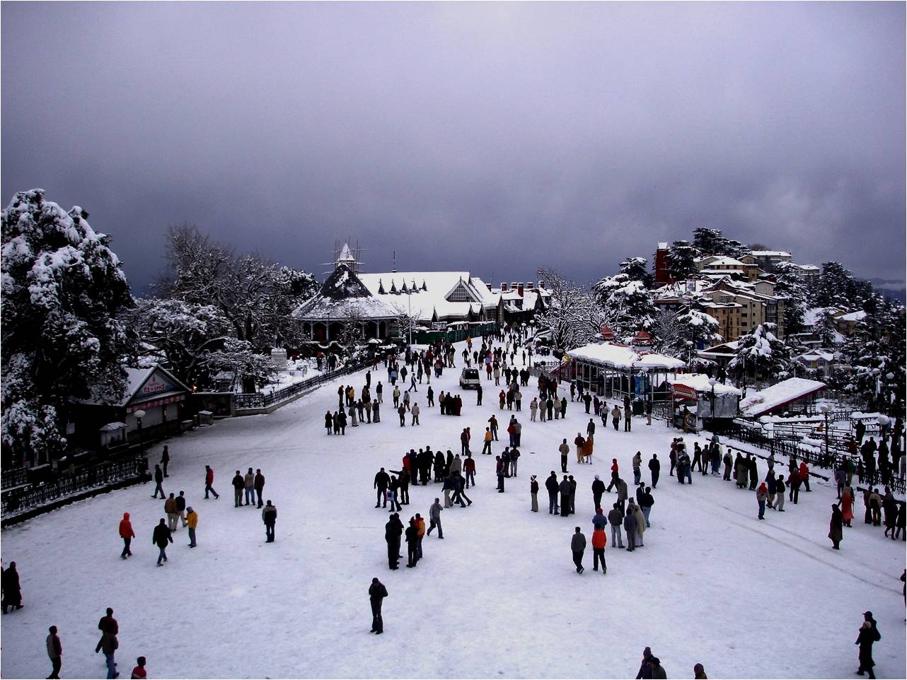 Shimla