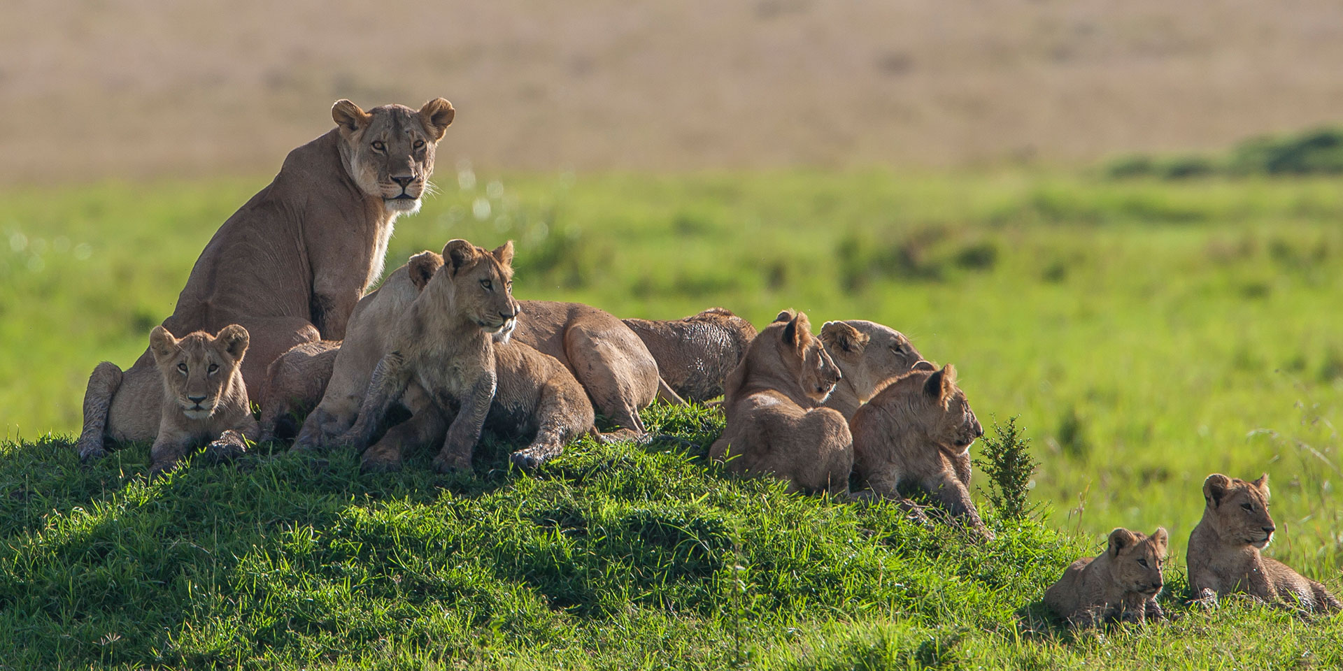 Kenya