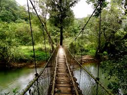 Coorg