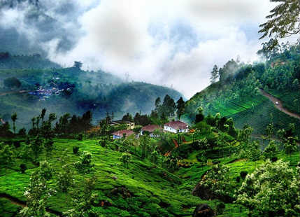 Coorg