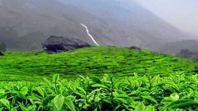 Munnar