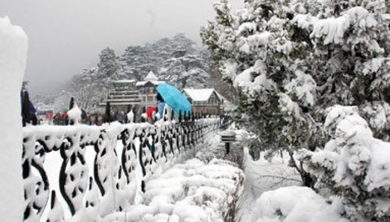 Shimla