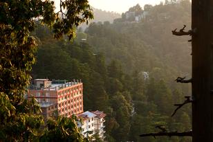 Shimla