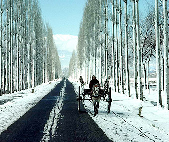 Gulmarg