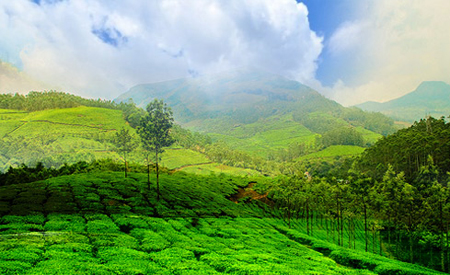 Wayanad