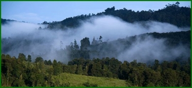 Kodaikanal