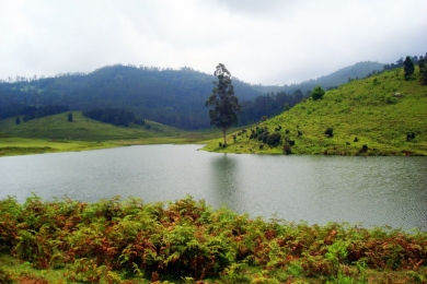 Kodaikanal