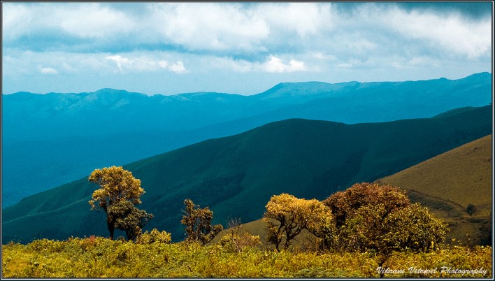 Chikamagalur