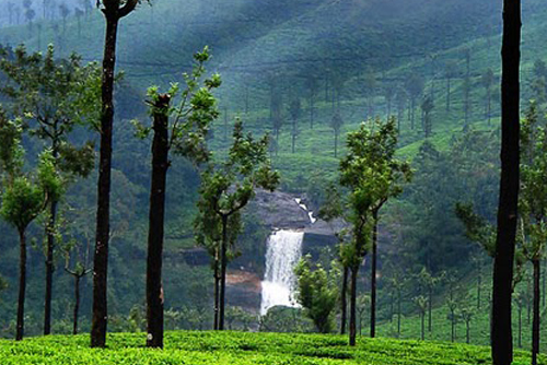 Valparai