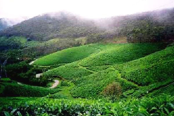 Munnar