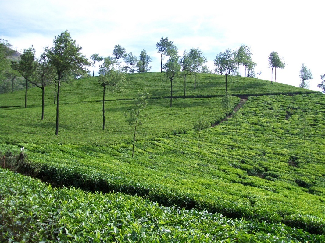 Thekkady