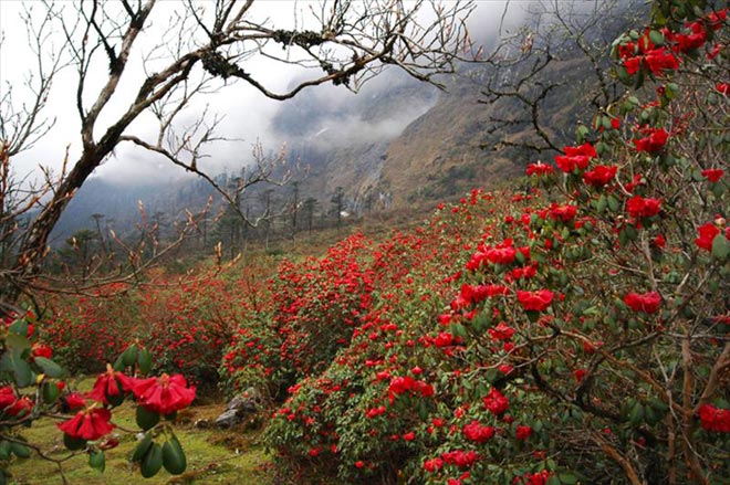 Gangtok